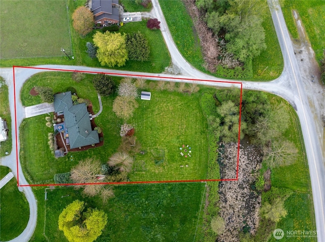 bird's eye view