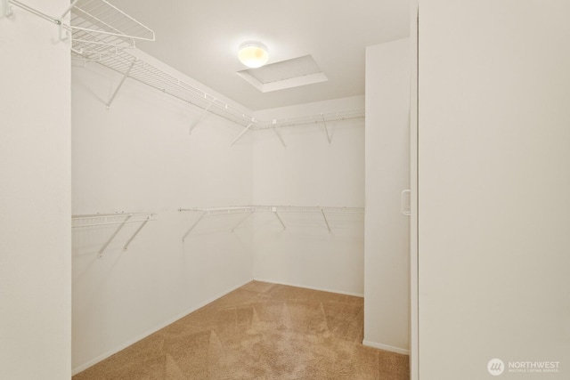 2003 Mill Pointe Dr SE, Mill Creek, WA 98012 - walk in closet with carpet floors