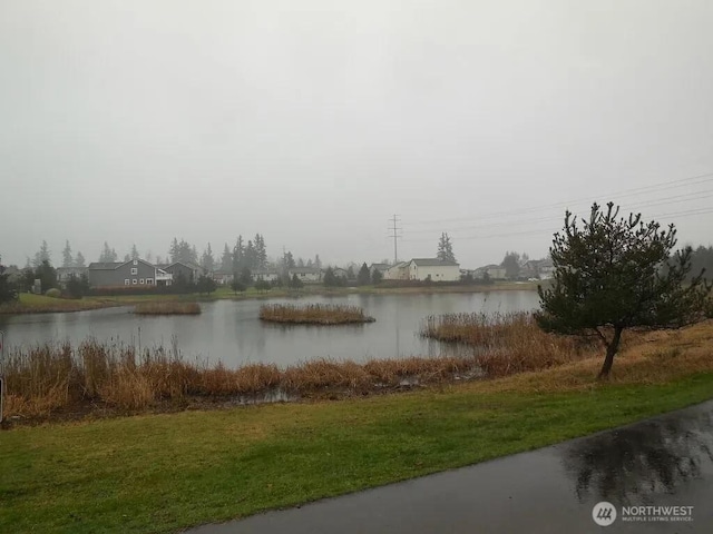 16109 SE 258th St, Covington, WA 98042 - property view of water