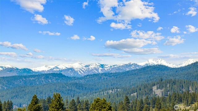 632 Horse Jump Dr, Cle Elum, WA 98922