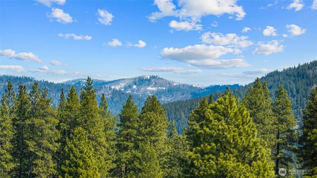 632 Horse Jump Dr, Cle Elum, WA 98922