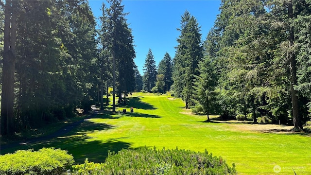 view of community with a yard