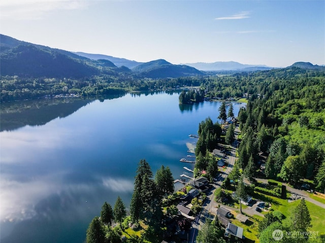 486 W Lake Samish Dr, Bellingham, WA 98229 - bird's eye view of a water and mountain view and a heavily wooded area