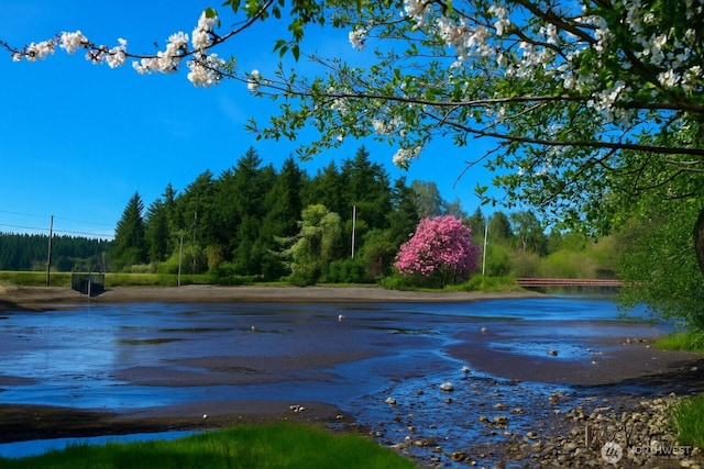 property view of water featuring a wooded view