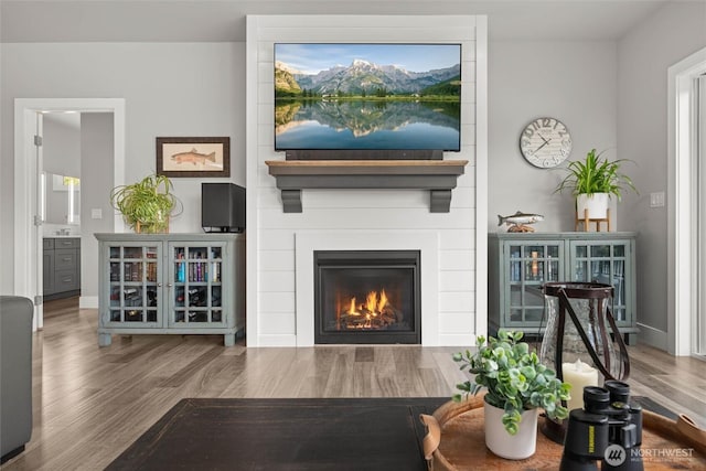 living area with wood finished floors, a large fireplace, and baseboards