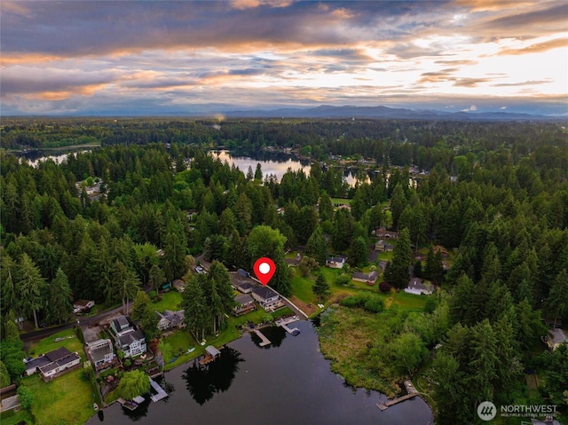 aerial view of property's location with a heavily wooded area and a large body of water