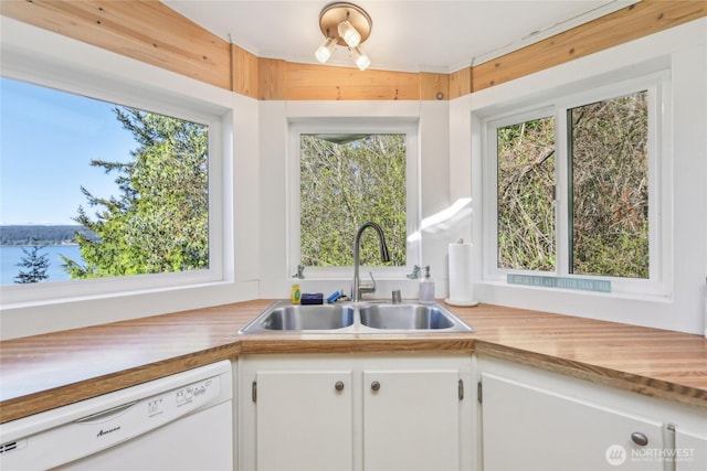 kitchen with white dishwasher, light countertops, a wealth of natural light, and a sink