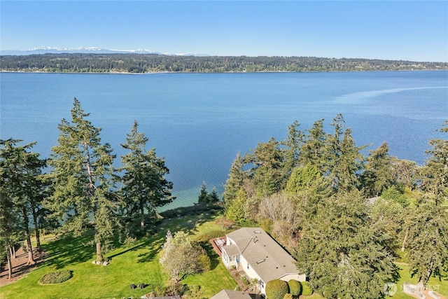 aerial view featuring a wooded view and a water view