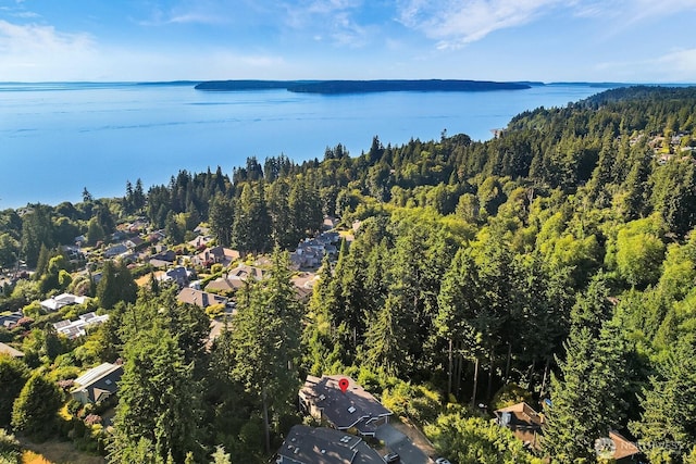 17008 72nd Pl W, Edmonds, WA 98026 - photo 39