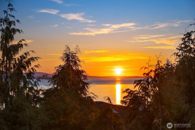 17008 72nd Pl W, Edmonds, WA 98026 - photo 40