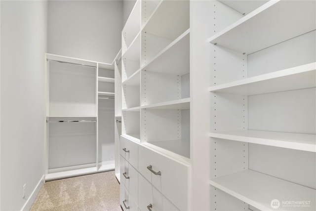 9028 45th Ave NE, Seattle, WA 98115 - walk in closet featuring light colored carpet