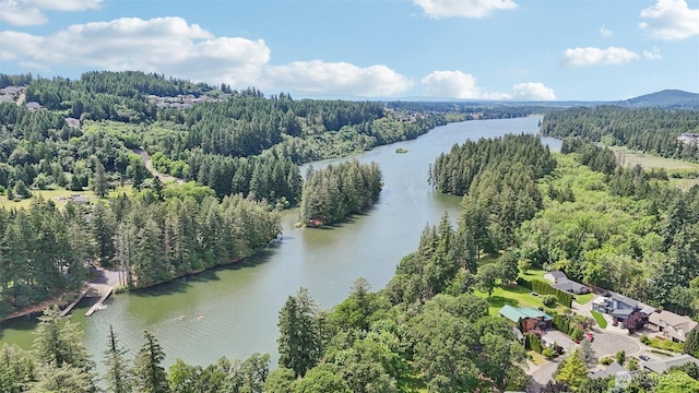 3718 NE Everett St, Camas, WA 98607 - bird's eye view of a heavily wooded area and a large body of water