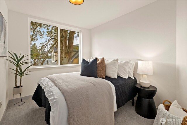 bedroom with baseboards and carpet floors