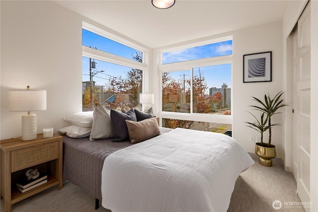 view of carpeted bedroom