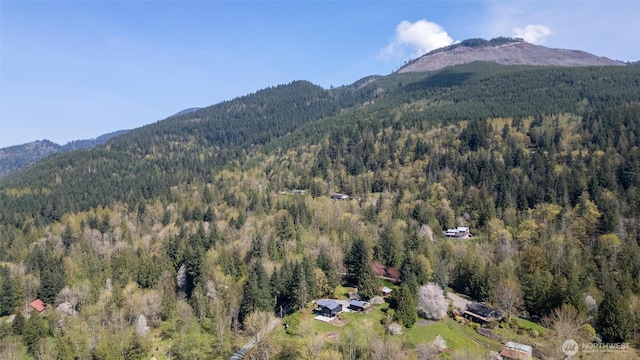 view of mountain feature featuring a wooded view