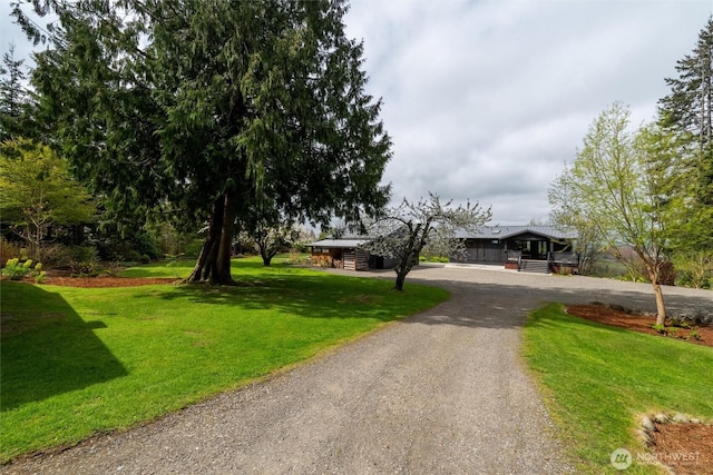 view of front of property with a front yard and curved driveway