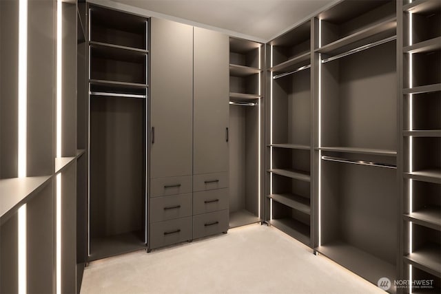 11896 SE 5th St, Bellevue, WA 98805 - spacious closet with light carpet