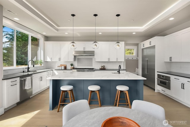 kitchen with appliances with stainless steel finishes, a kitchen island with sink, under cabinet range hood, a tray ceiling, and decorative backsplash