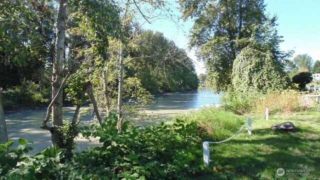 10515 60th Street Ct E Unit 165, Puyallup, WA 98372 - view of water feature