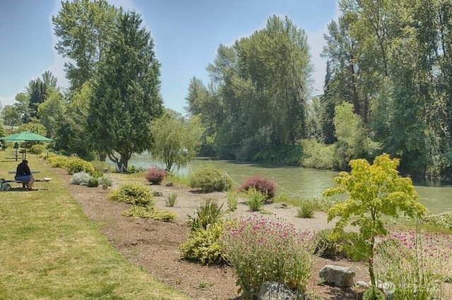 10515 60th Street Ct E Unit 165, Puyallup, WA 98372 - view of property's community featuring a water view and a lawn