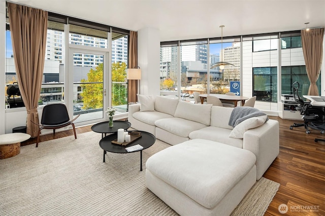 living room featuring a wall of windows, a city view, and wood finished floors