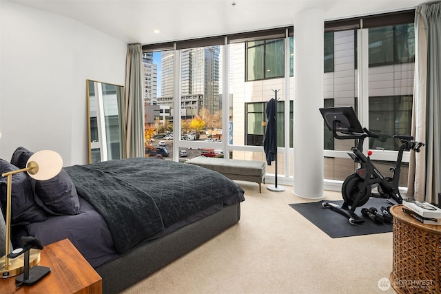 bedroom featuring carpet and a city view