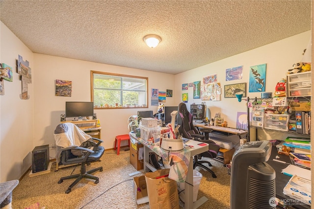 9941 Old Olympic Hwy, Sequim, WA 98382 - office with a textured ceiling and carpet floors
