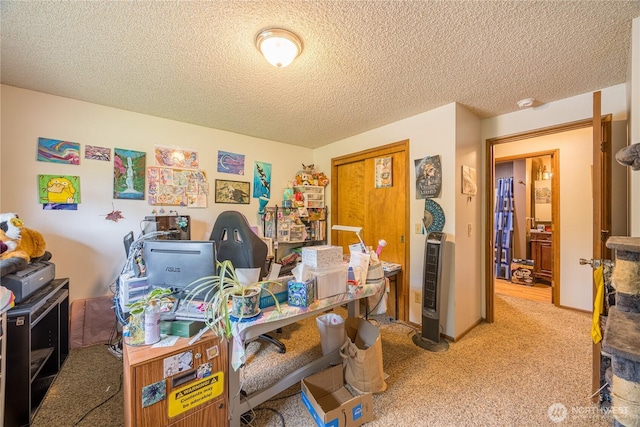 9941 Old Olympic Hwy, Sequim, WA 98382 - office with carpet flooring and a textured ceiling