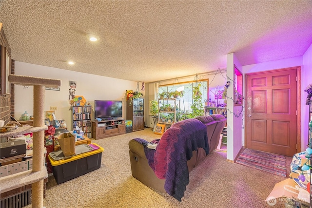 9941 Old Olympic Hwy, Sequim, WA 98382 - living room with carpet floors, a textured ceiling, and recessed lighting