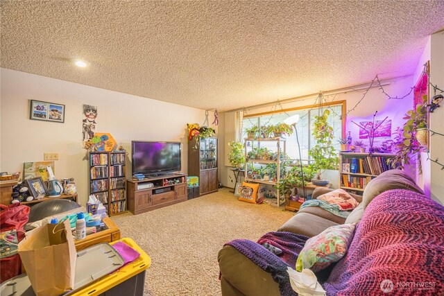 9941 Old Olympic Hwy, Sequim, WA 98382 - carpeted living area featuring a textured ceiling
