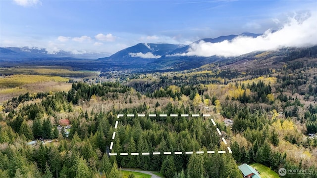 11602 Panorama Dr, Sedro Woolley, WA 98284 - photo 2