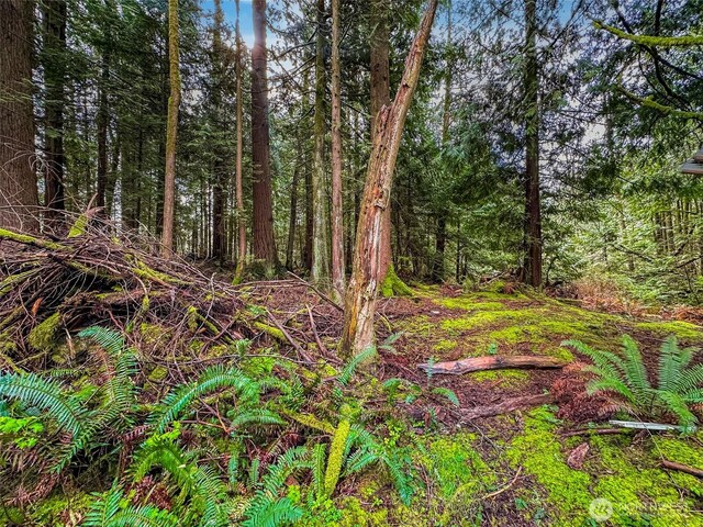 11602 Panorama Dr, Sedro Woolley, WA 98284 - photo 5
