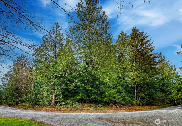 11602 Panorama Dr, Sedro Woolley, WA 98284 - photo 8
