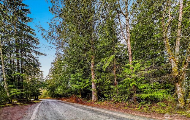 11602 Panorama Dr, Sedro Woolley, WA 98284 - photo 10