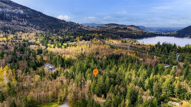 11602 Panorama Dr, Sedro Woolley, WA 98284 - photo 11