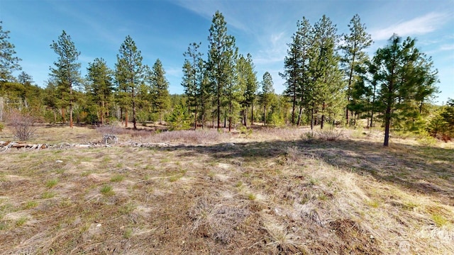 47 Bonanza, Tonasket, WA 98855 - photo 14