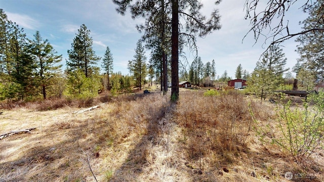 47 Bonanza, Tonasket, WA 98855 - photo 15