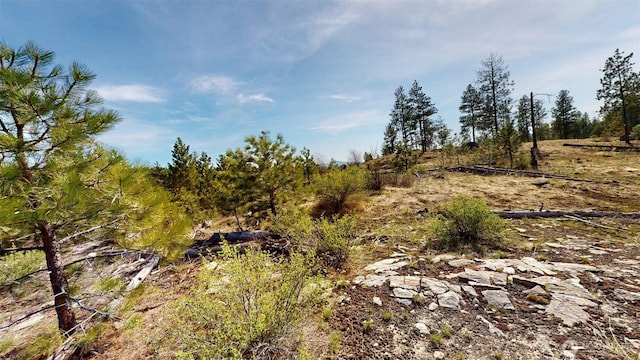 47 Bonanza, Tonasket, WA 98855 - photo 17