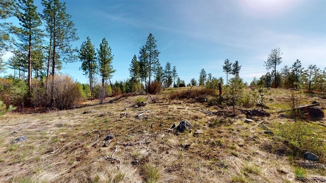 47 Bonanza, Tonasket, WA 98855 - photo 23