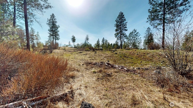 47 Bonanza, Tonasket, WA 98855 - photo 24