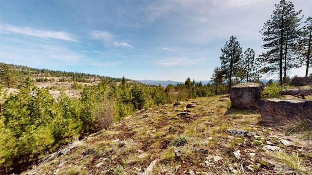 47 Bonanza, Tonasket, WA 98855 - photo 25