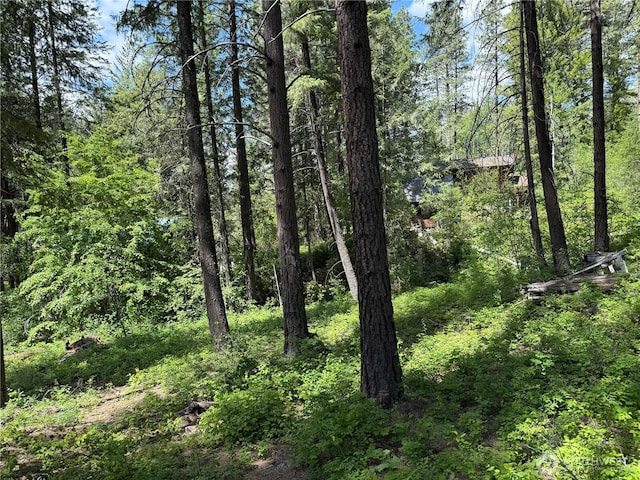 11 Highland Meadow Rd, Winthrop, WA 98862