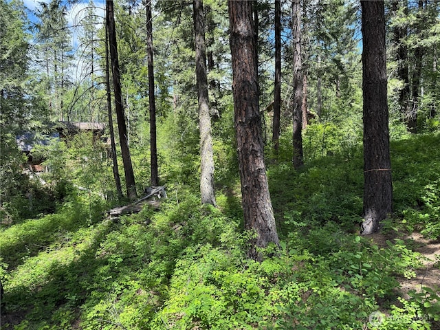 11 Highland Meadow Rd, Winthrop, WA 98862