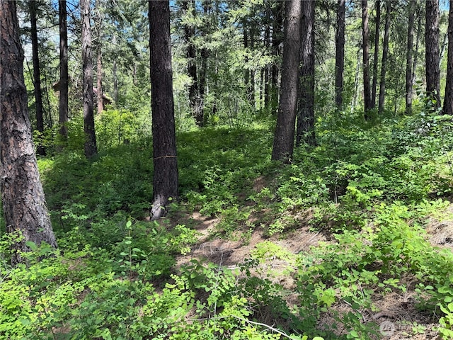 11 Highland Meadow Rd, Winthrop, WA 98862