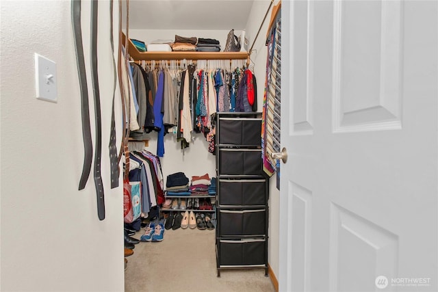 2825 Haig Dr SE, Olympia, WA 98501 - spacious closet featuring carpet flooring