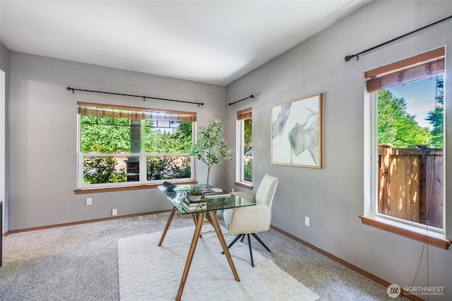 2825 Haig Dr SE, Olympia, WA 98501 - photo 16
