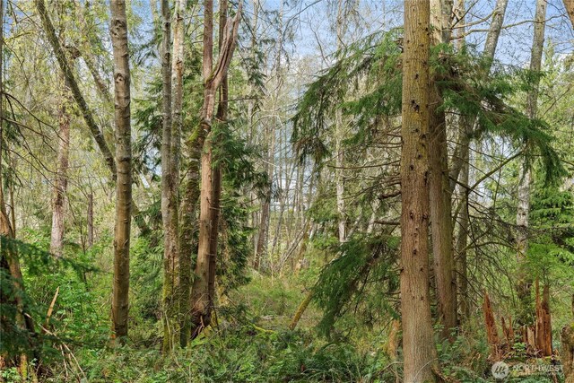 0 Greenoch Loop, Oak Harbor, WA 98277 - photo 5