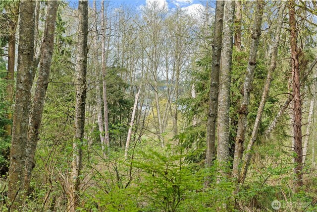 0 Greenoch Loop, Oak Harbor, WA 98277 - photo 6