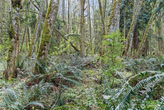 0 Greenoch Loop, Oak Harbor, WA 98277 - photo 7