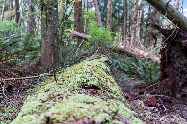0 Greenoch Loop, Oak Harbor, WA 98277 - photo 8